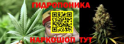 дмт Будённовск