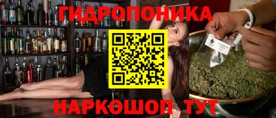 дмт Будённовск